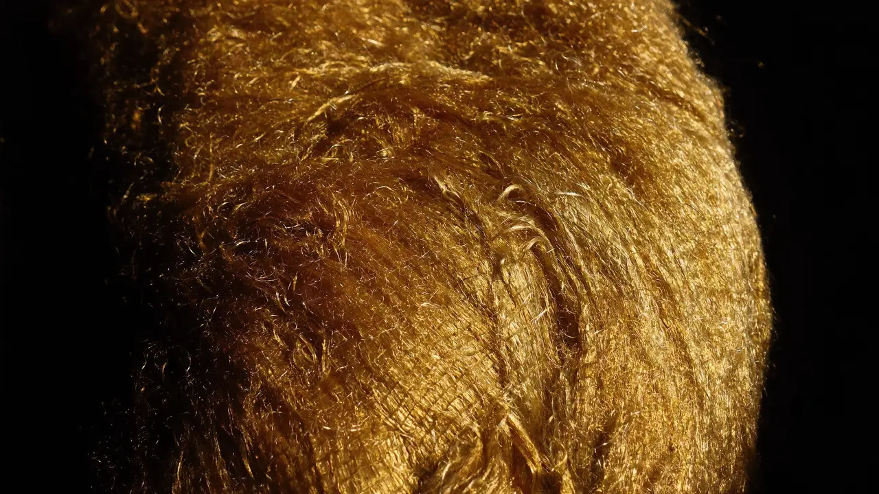 Macro study of golden fleece fibers catching warm light